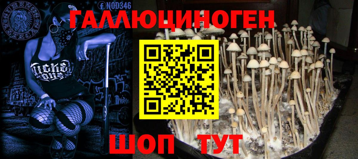 Севастополь  Галлюциногенные грибы Magic Shrooms  Вход с VPN  Галлюциногенные грибы GOLDEN TEACHER 
