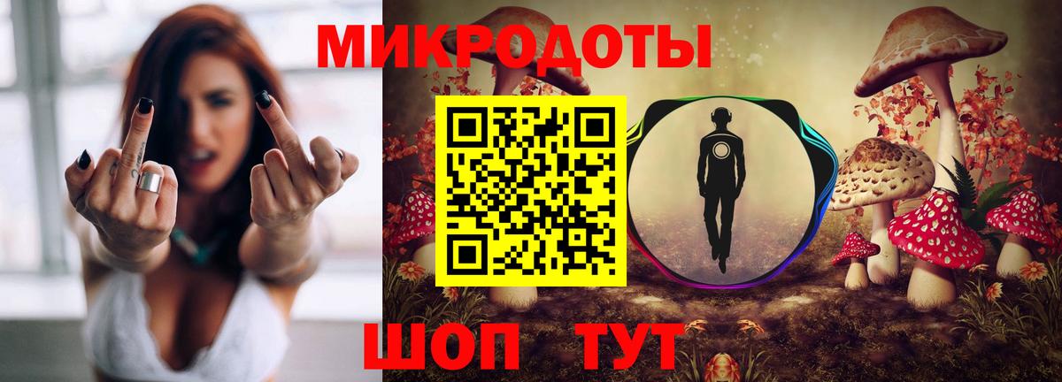 Псилоцибиновые грибы GOLDEN TEACHER Севастополь